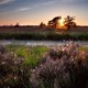 De Mookerheide