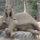 Dierentuin Burgers' Zoo