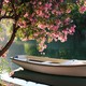 Hortus Nijmegen