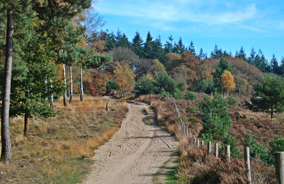 Wandelen