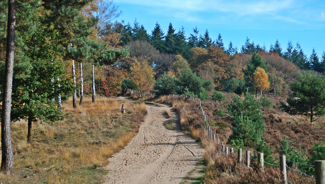 Wandelen