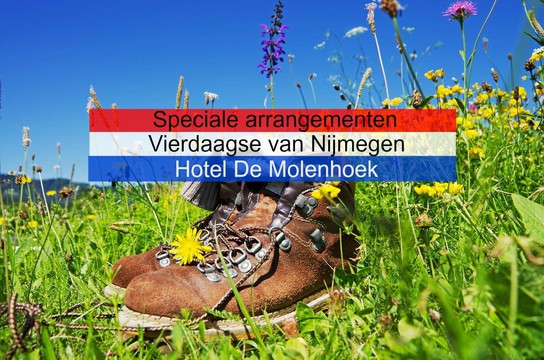 4-Daagse Nijmegen 2025