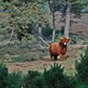 De Mookerheide